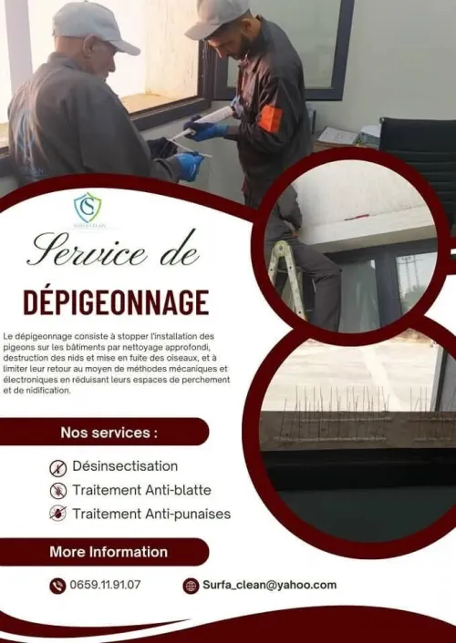 Opération 3D Dératisation Désinsectisation Dèsinfection 