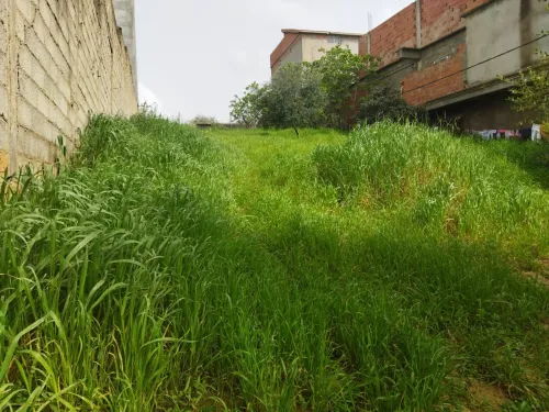 Vente Terrain Boumerdes Ouled moussa