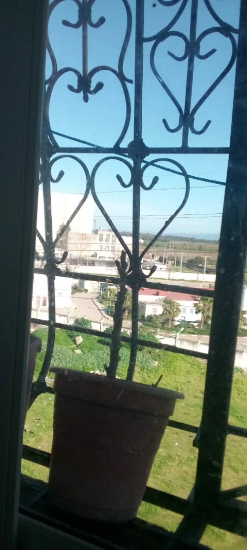 Vente Appartement F3 Annaba El hadjar