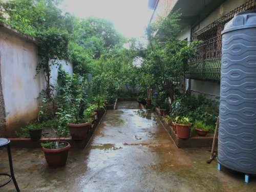 Vente Villa Blida Blida