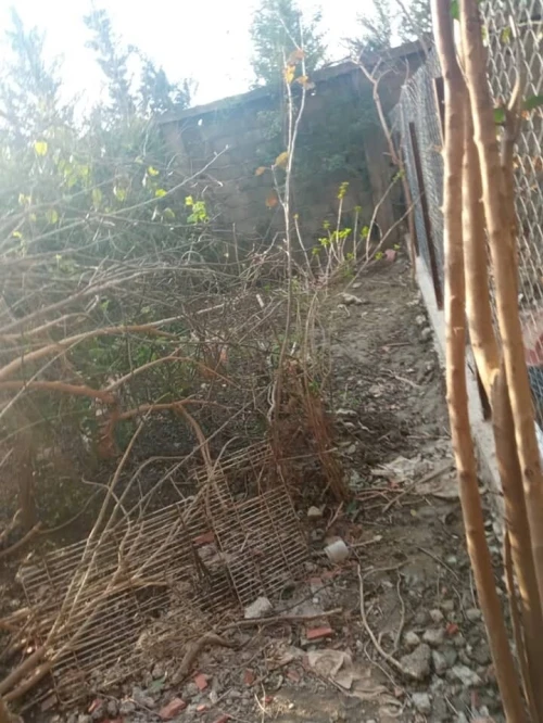 Vente Villa Alger Bordj el kiffan