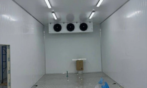 Montage chamber froide et Tunnel surgélation