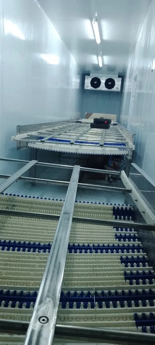 Montage chamber froide et Tunnel surgélation