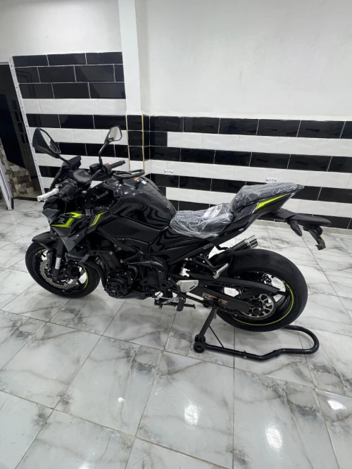 Kawasaki Z900 2024