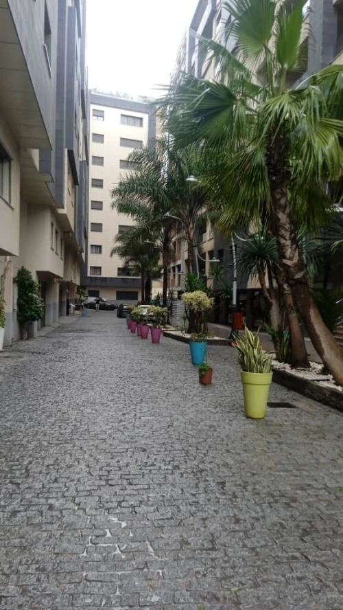 Location Appartement Penthouse F6 Alger Birkhadem