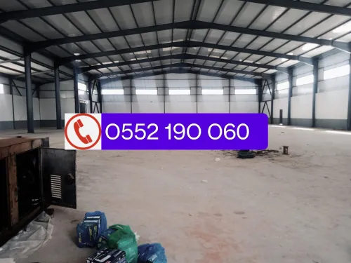 Location Hangar Blida Boufarik