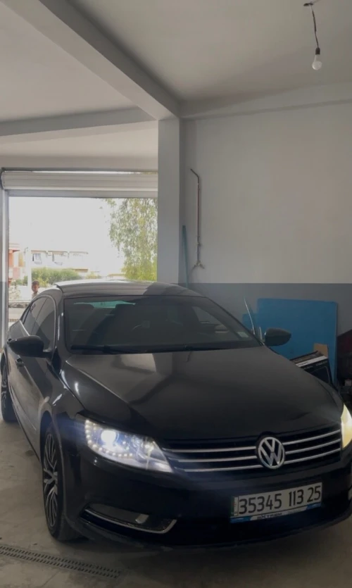 Volkswagen Passat CC 2013 Passat CC