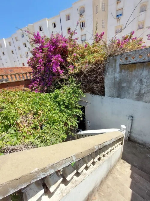 Location Local Skikda Filfla