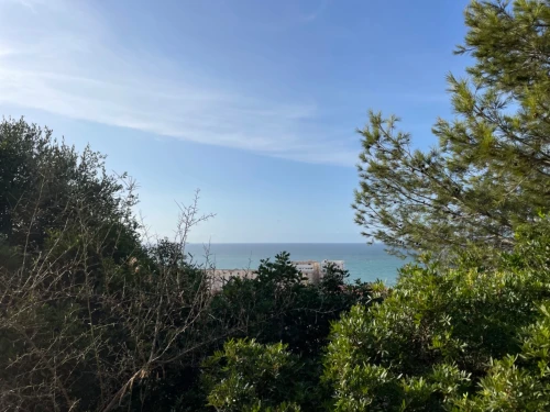 Vente Appartement F3 Alger Hammamet