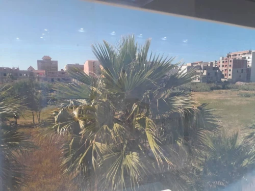 Location Appartement F2 Alger Bordj el kiffan
