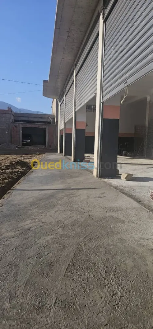 Vente Villa Blida Guerrouaou