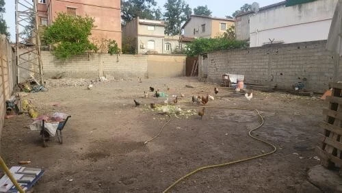 Vente Terrain Blida Blida