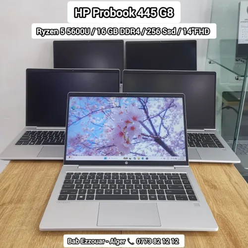 HP ProBook 445 G8 | Ryzen 5 5600U | 16GB RAM | 256GB SSD | 14" FHD | Très Bon État