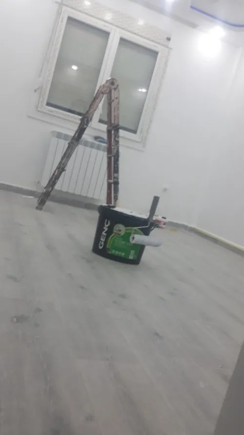 (peinture  maison +palaco+PVC(dico pro