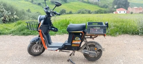 Scooser Electrique 2025