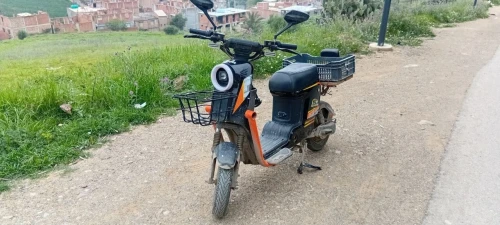 Scooser Electrique 2025