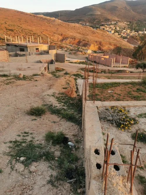 Vente Terrain Tlemcen Beni mester