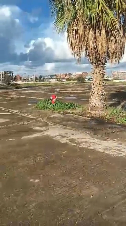 Vente Terrain Alger Bordj el kiffan