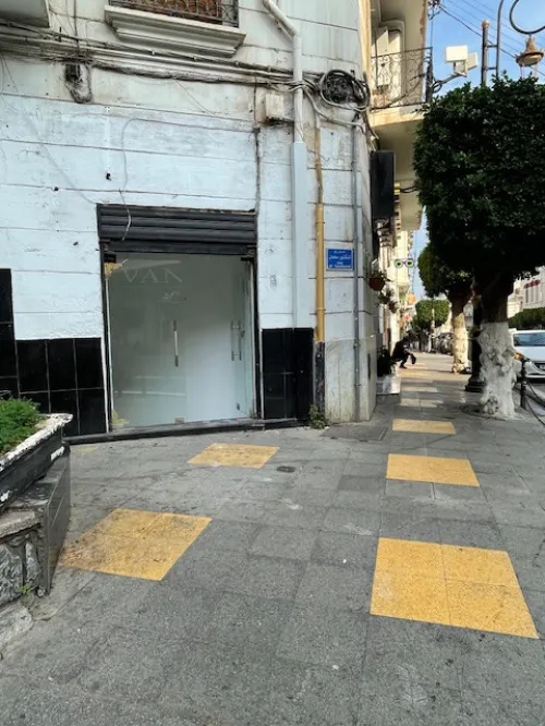 Location Local Alger Alger centre