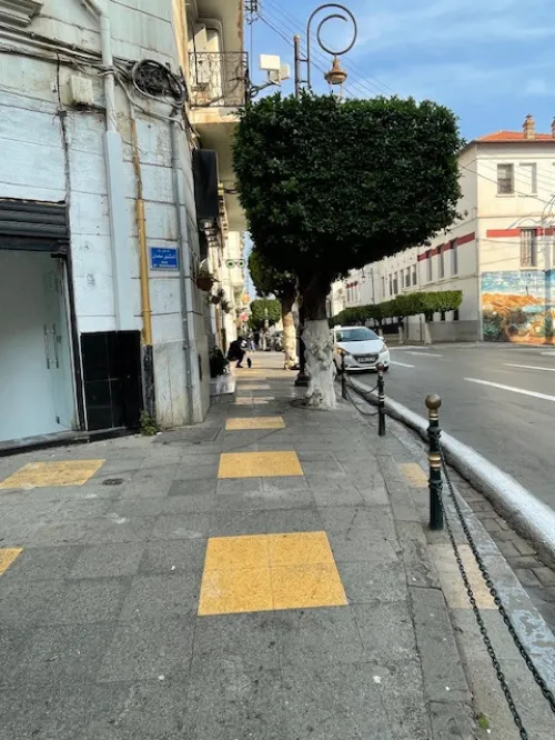 Location Local Alger Alger centre