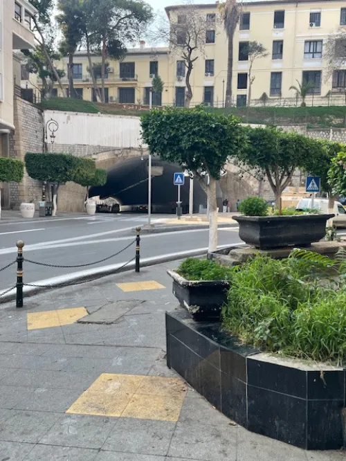 Location Local Alger Alger centre