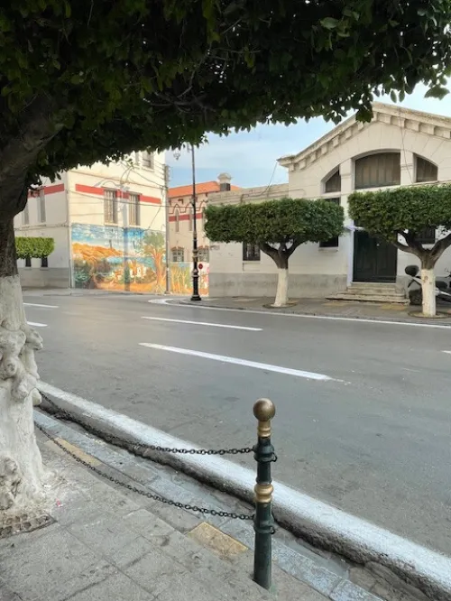 Location Local Alger Alger centre