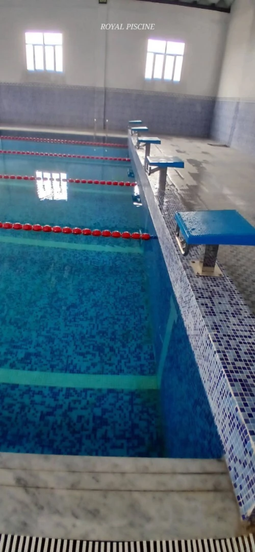 Plot de départ en inox piscine, robot piscine, Équipement piscine plongeoir piscine ,ligne de nage