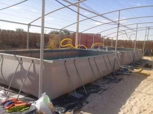 Bassin  poisson احواض سمك 