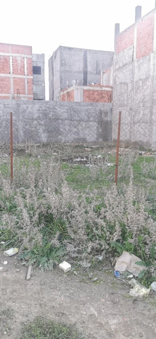 Vente Terrain Alger Tessala el merdja