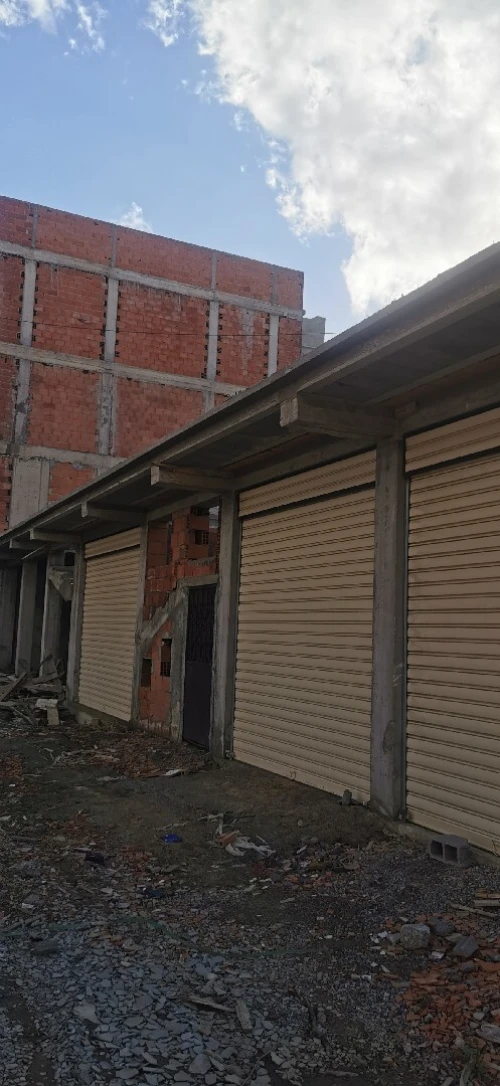 Vente Terrain Alger Tessala el merdja