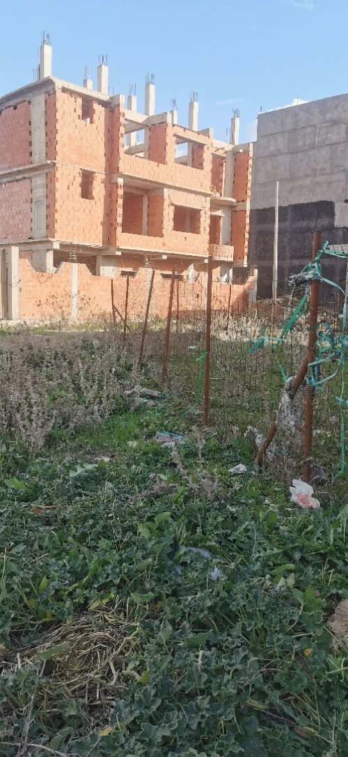Vente Terrain Alger Tessala el merdja
