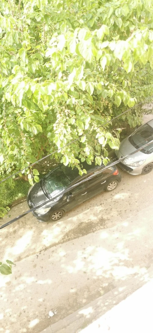 Vente Terrain Alger Baba hassen