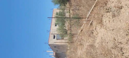 Vente Terrain Tipaza Cherchell