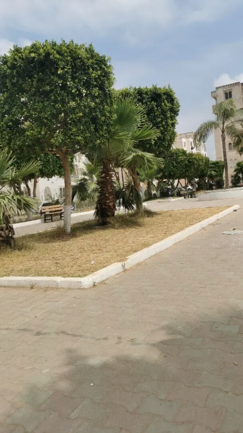 Location Appartement F3 Alger Ouled fayet