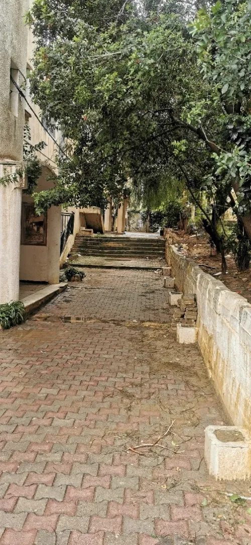 Location Appartement F3 Alger El achour