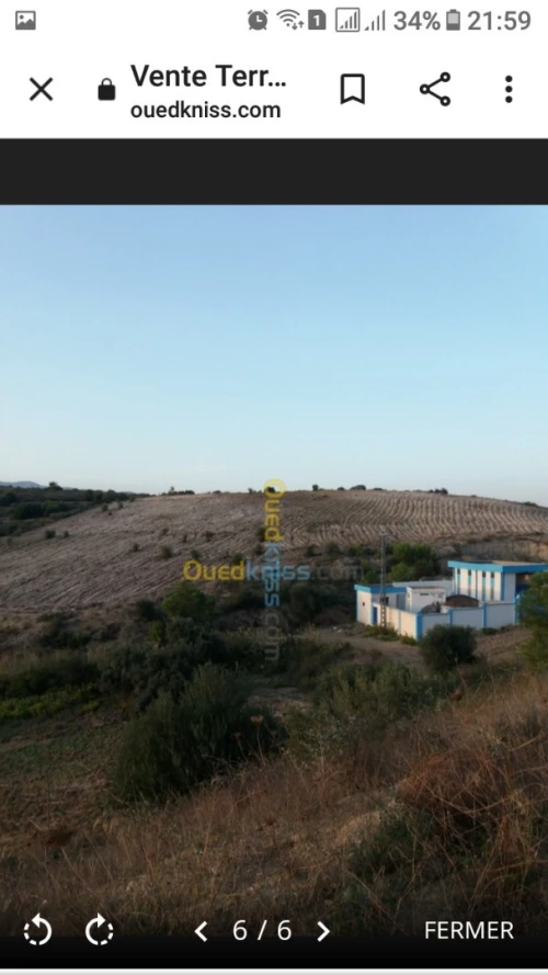 Vente Terrain Agricole Béjaïa Seddouk