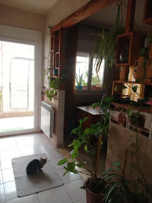 Vente Appartement F5 Alger Reghaia