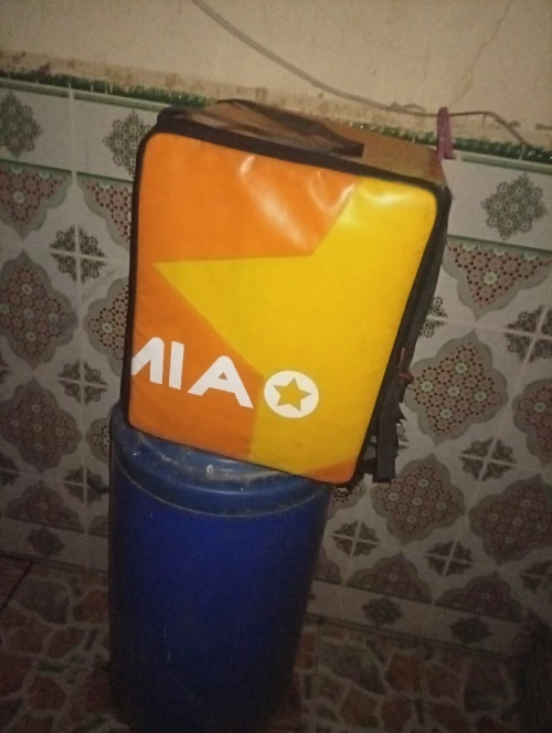 Mallette livraison moto 