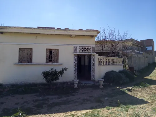 Vente Terrain Batna Djerma