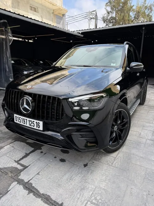 Mercedes GLE 300D 2025 