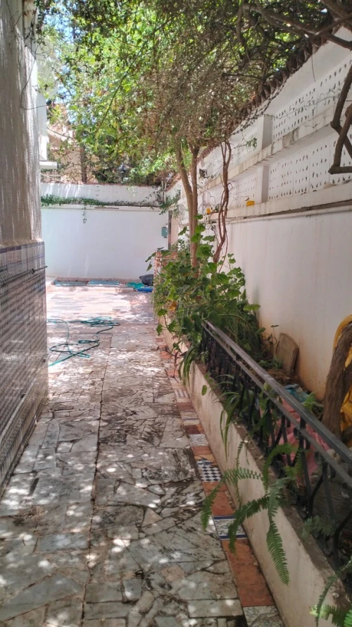 Location Villa Alger Dely brahim