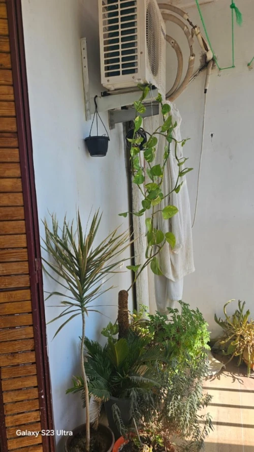 Vente Appartement F4 Constantine El khroub