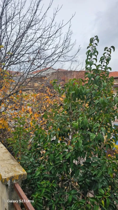 Vente Villa Constantine Constantine