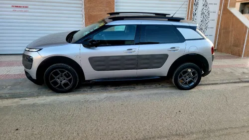 Citroen C4 Cactus 2015 C4 Cactus
