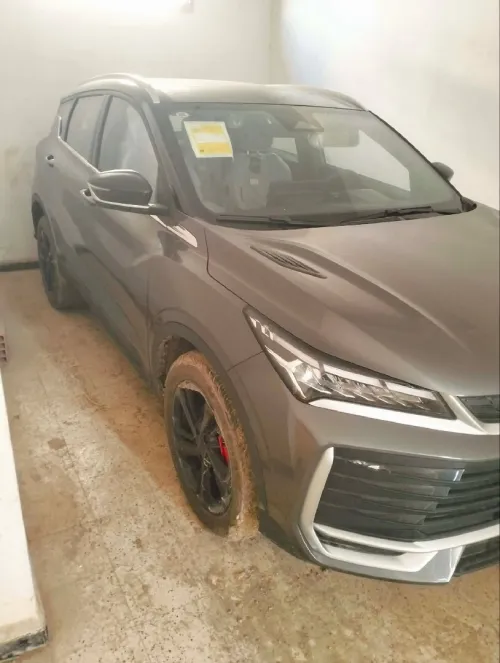 Chery Cowin 2026 