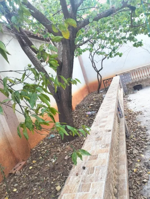 Vente Villa Alger Birkhadem