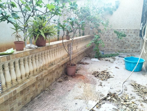 Vente Villa Alger Birkhadem