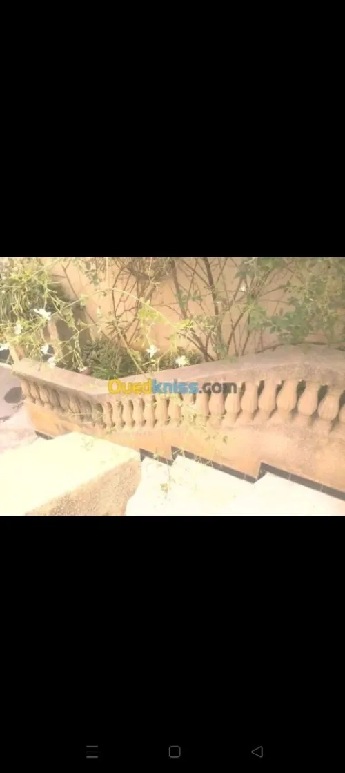 Location Appartement F3 Alger Draria