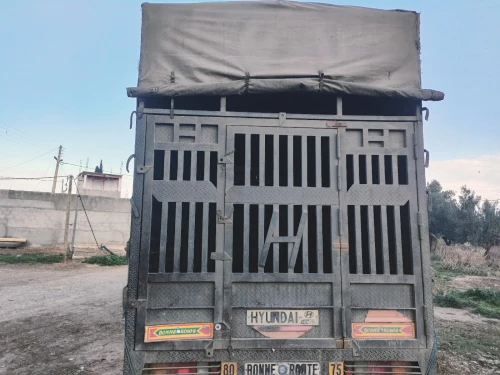 Hyundai Hd65 2009