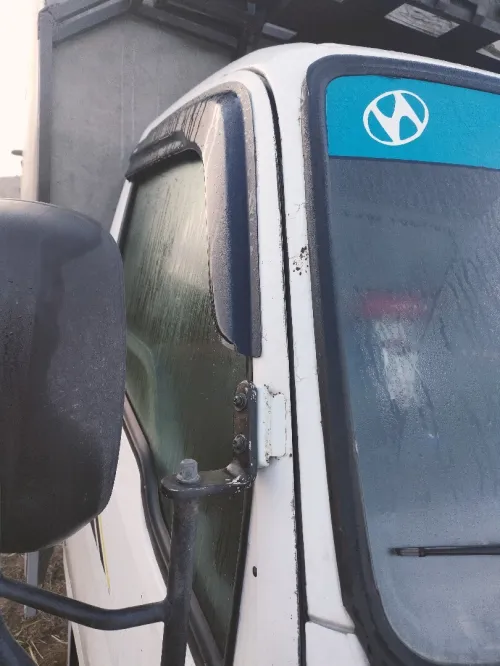 Hyundai Hd65 2009